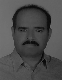  Alireza Alirezaei 