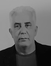  Farzin Feyzi 