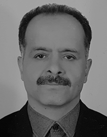  Mostafa Alirezaei 